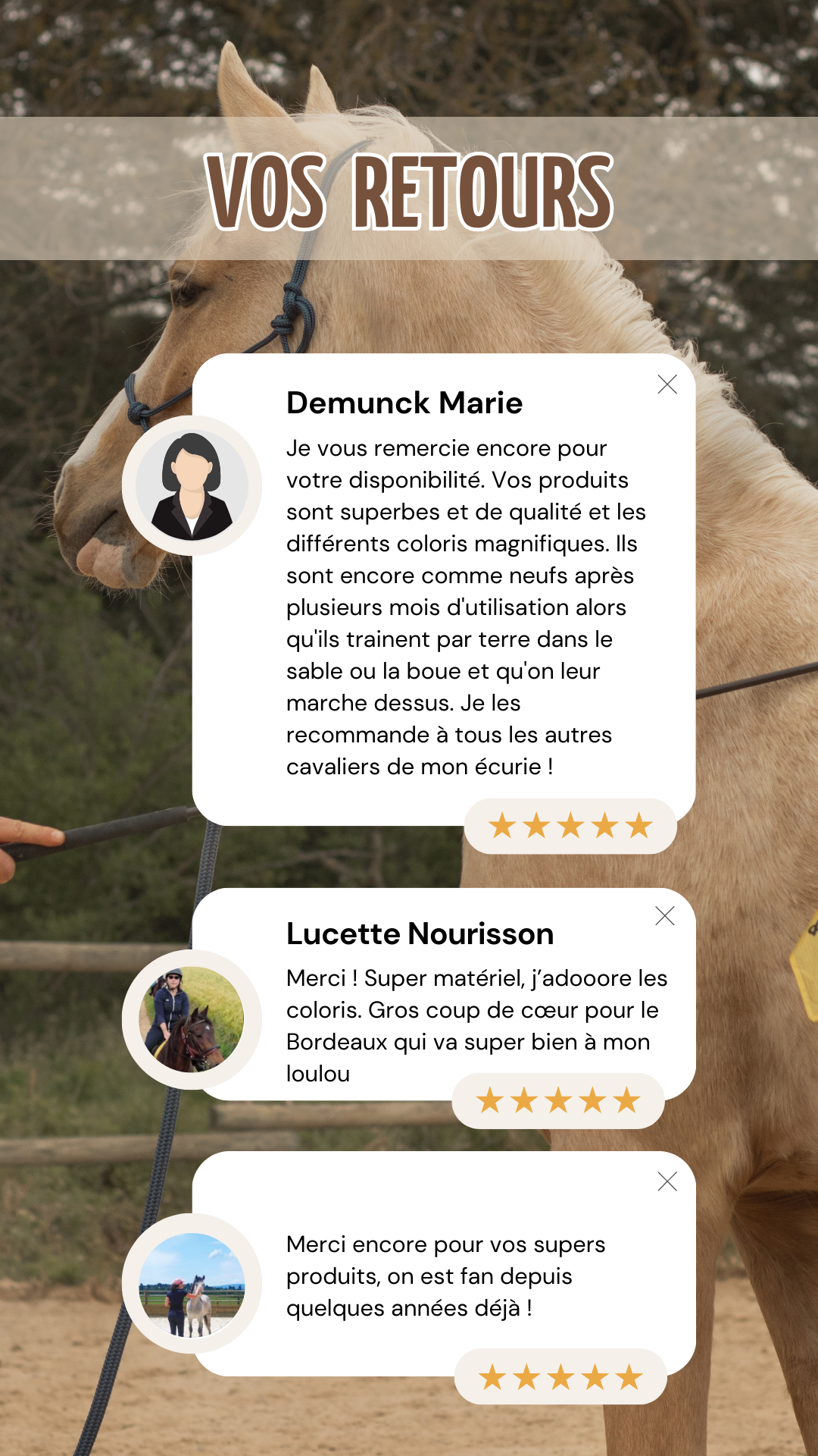 Story d'avis clients positifs avec une photo de cheval en fond, 6