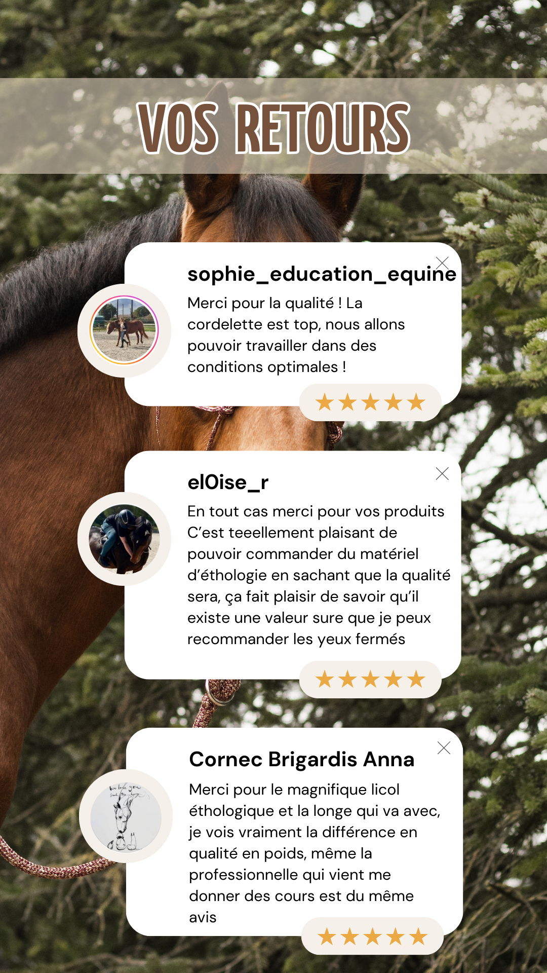 Story d'avis clients positifs avec une photo de cheval en fond, 5