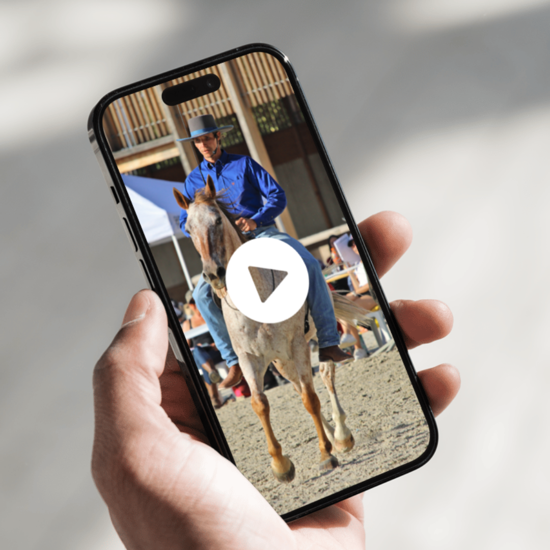 mockup reel récap projets 2023