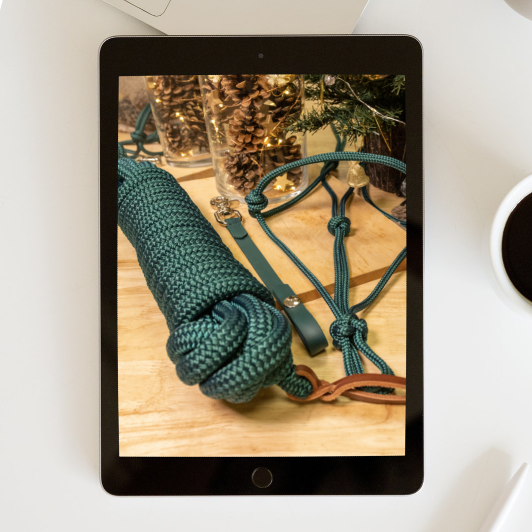 mockup shooting photo Horse & Ropes noel 1