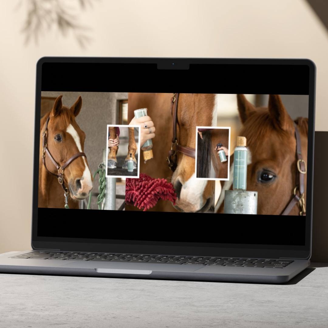 mockup d'un carrousels photos de produits de soins nellumbo mis en situation