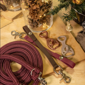 Photo d'une longe d'équitation sous un sapin de Noël