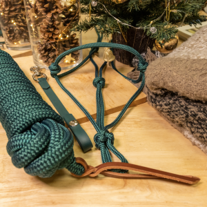 Photo d'une longe et d'un licol éthologique d'équitation sous un sapin de Noël