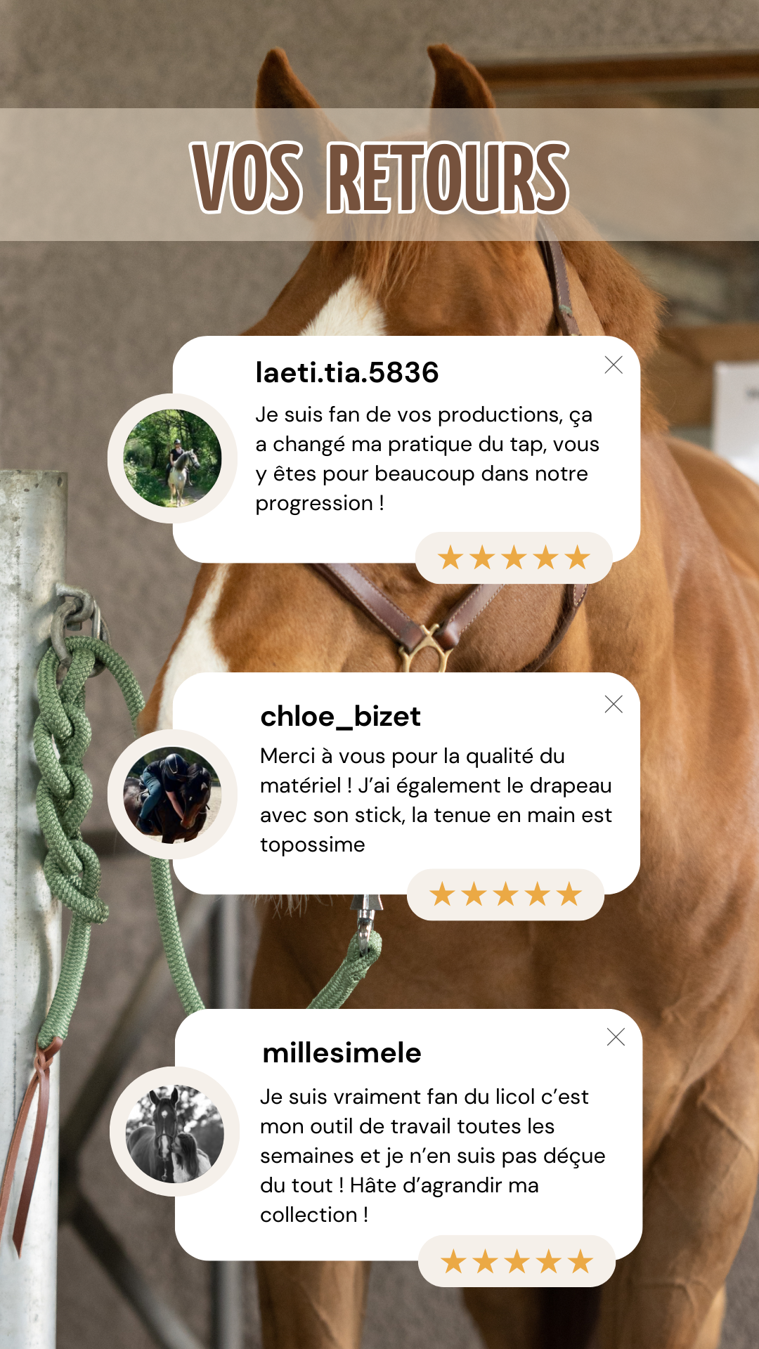 Story d'avis clients positifs avec une photo de cheval en fond, 1