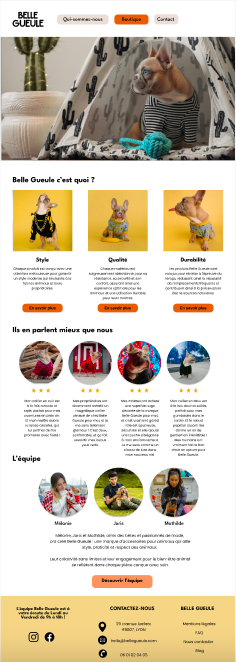page d'accueil du site web de la marque Belle Gueule