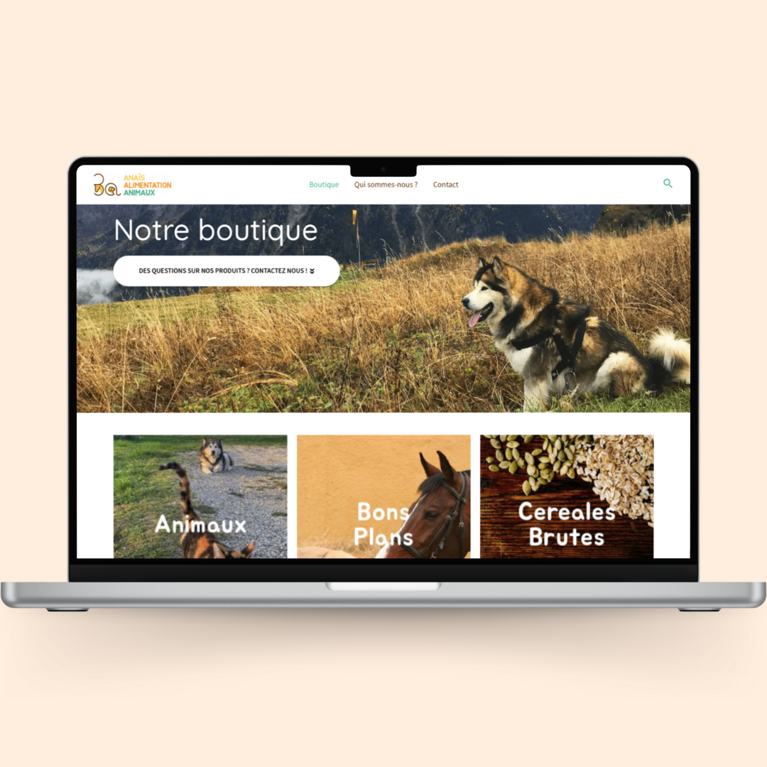 Mockup site web les 3A en situation