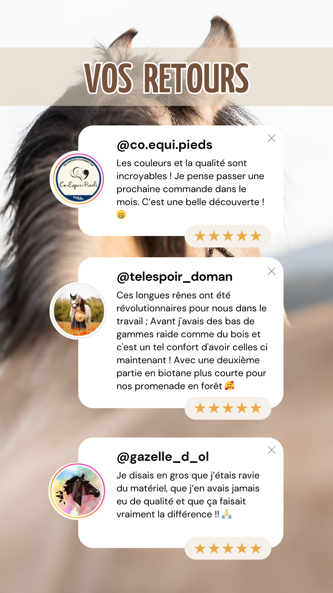 Story d'avis clients positifs avec une photo de cheval en fond, 4