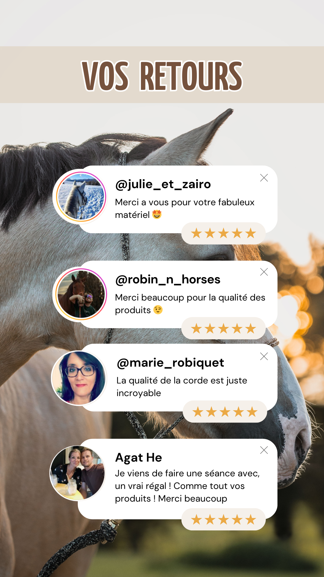 Story d'avis clients positifs avec une photo de cheval en fond, 3