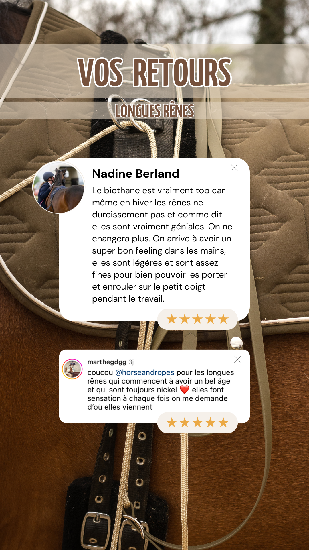 Story d'avis clients positifs avec une photo de cheval en fond, 2
