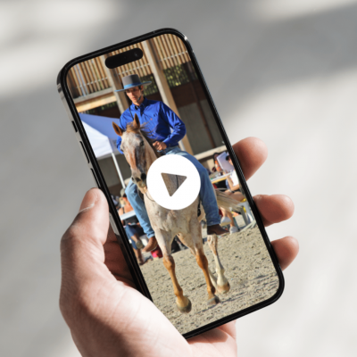 mockup reel récap projets 2023